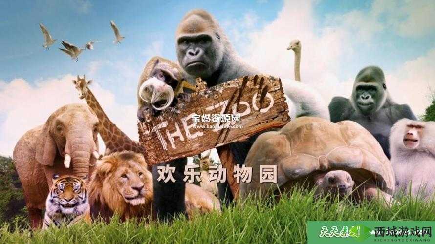 ZOOM 动物合集 VERDEOS:动物世界的奇妙之旅