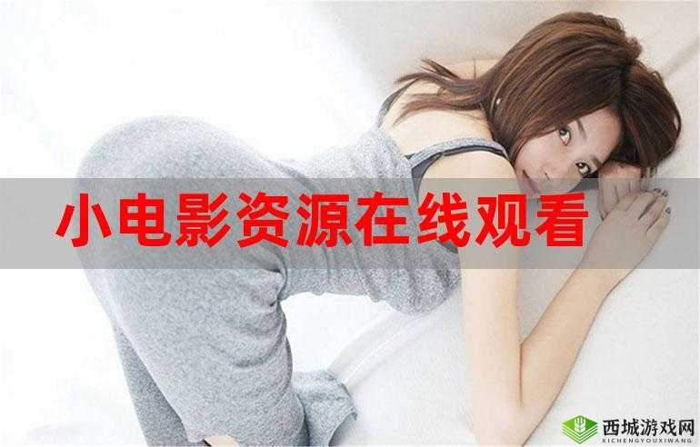 今天高清视频在线观看:精彩内容不断