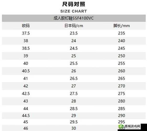 日本 L 码和中国码的区别有哪些?