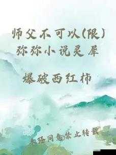 师父不可以限弥弥：探寻其中的独特魅力与深意
