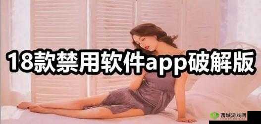 夜里 18 款禁用软件 APP 的功能详解：深入探究其特性与影响