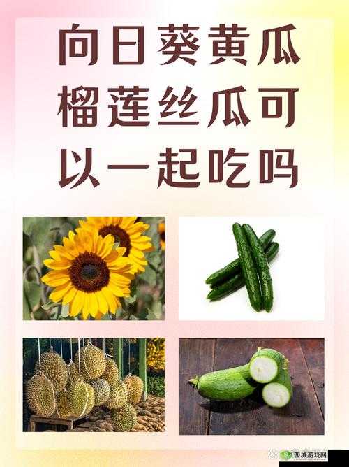 向日葵黄瓜榴莲丝瓜可以一起吃吗：饮食搭配的疑惑解析