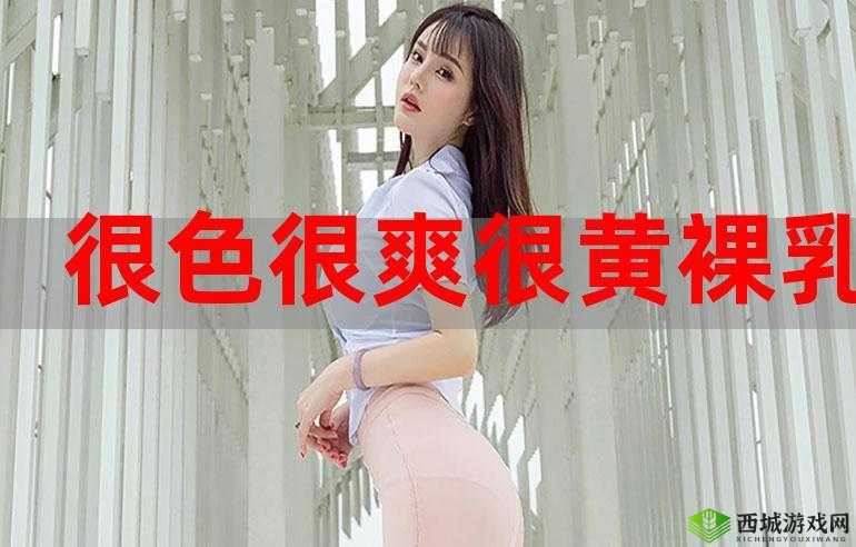 看全色黄大色黄大片爽一次：极致视觉享受，让你心跳加速