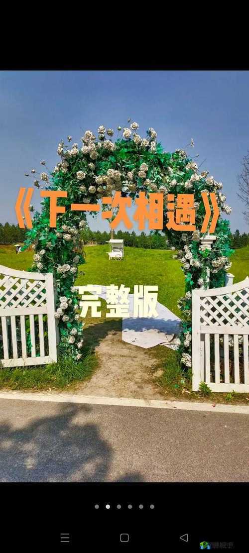 天天想你今夜无人入眠杨光:爱是一种难以言说的力量