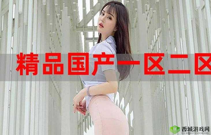 99 精产国品一二三产区在线:优质产品的多元呈现